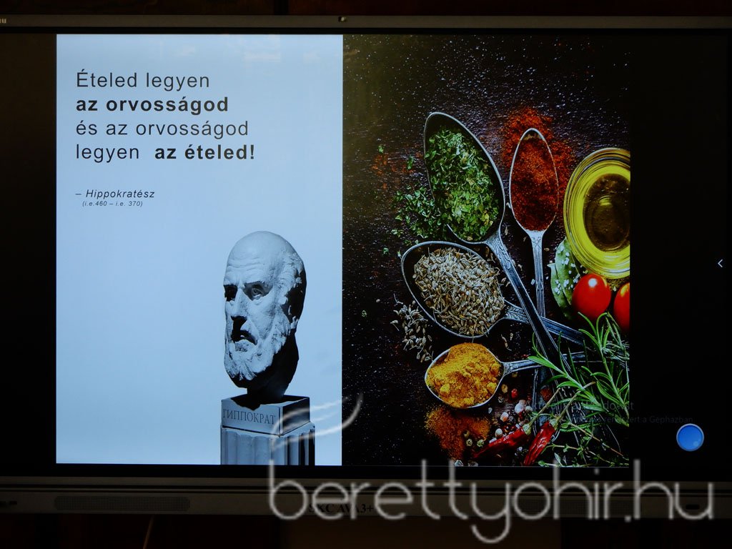 fenntartható egészség 21